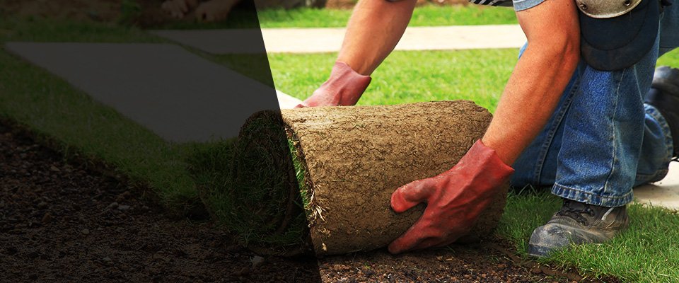 Winthrop Landscapers